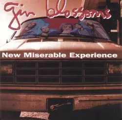 New Miserable Experience by Gin Blossoms