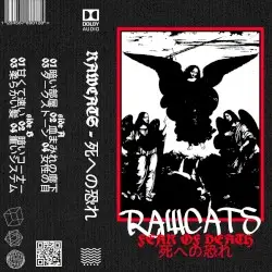 Fear of Death by RAWCATS