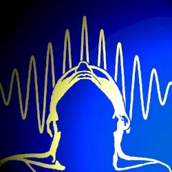 The Collapse of the Wave Function, Volume 5: The Transactional Interpretation by DMX Krew
