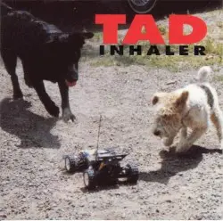 Inhaler by Tad