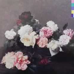 Power, Corruption & Lies by New Order