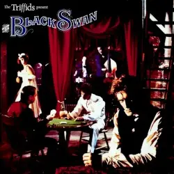 The Black Swan by The Triffids