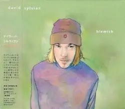 Blemish by David Sylvian