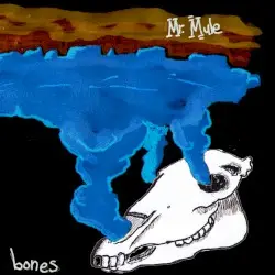 Bones by Junkyard Shaman