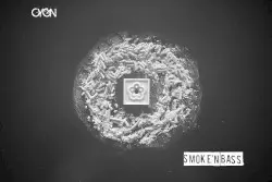 Smoke'n Bass by C Y G N