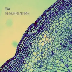 The Mean Solar Times by Stay