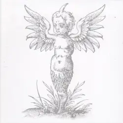Volume 7 by Bardo Pond