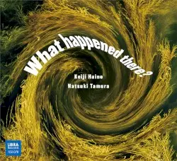 What happened there? by Keiji Haino & Natsuki Tamura