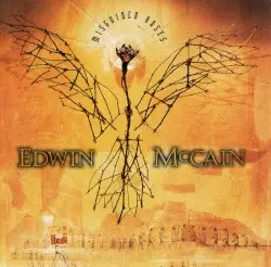Misguided Roses by Edwin McCain
