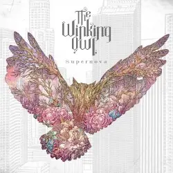 Supernova by The Winking Owl