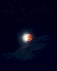 Lunar Eclipse March 13, 2025 by Scott Lawlor