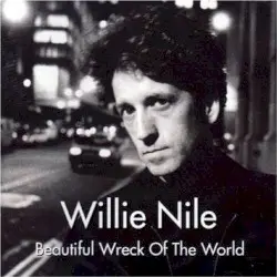 Beautiful Wreck of the World by Willie Nile