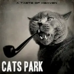 A Taste of Heaven by Cats Park