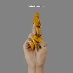 Lowborn by Anberlin