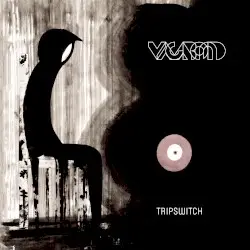 Vagabond by Tripswitch