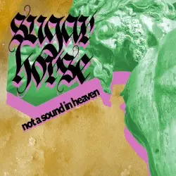 Not a Sound in Heaven by Sugar Horse