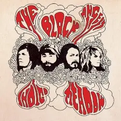 Indigo Meadow by The Black Angels