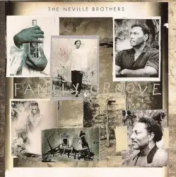 Family Groove by The Neville Brothers