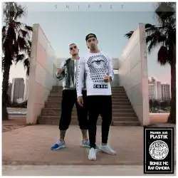 Palmen aus Plastik by Bonez MC & RAF Camora