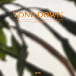 Tone Down by Tohaj