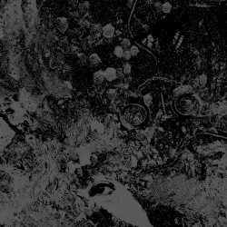 Split by Primitive Man & Unearthly Trance