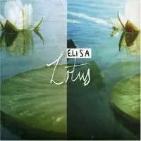 Lotus by Elisa