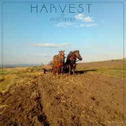 Harvest by Artem Bemba
