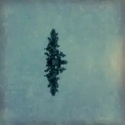 And If in a Thousand Years by Kaada