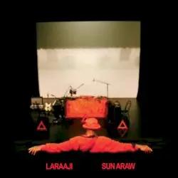 Professional Sunflow by Laraaji & Sun Araw