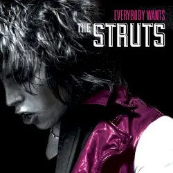 Everybody Wants by The Struts