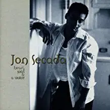 Heart, Soul, and a Voice by Jon Secada