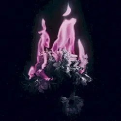 Careless by Alpha du Centaure