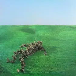 Bright Green Field by Squid