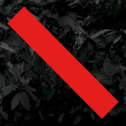 Adieu Unsterblichkeit by Kreisky