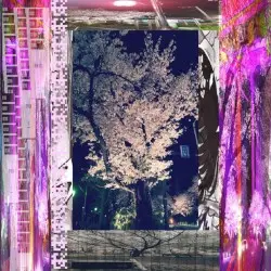 The Interpretation of Dream by shin(())code