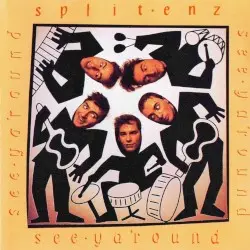 See Ya 'Round by Split Enz