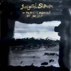 In the Endless Wastelands of No Self by Junkyard Shaman