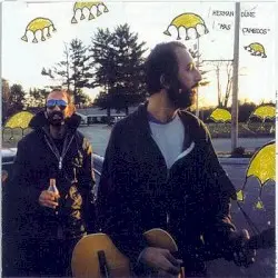 Mas Cambios by Herman Düne