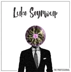 The Professional by Luke Seymoup
