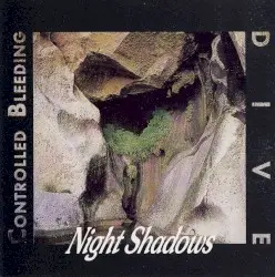 Night Shadows by Controlled Bleeding / Dive
