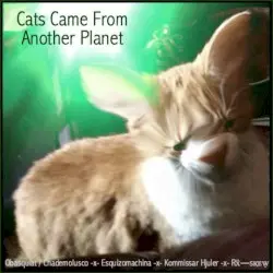 Cats Came From Another Planet by Obasquiat / Chademolusco -x- Esquizomachina -x- Kommissar Hjuler -x- Rẍ―sқᴇẉ