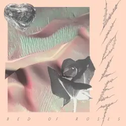 Bed of Roses by Violet