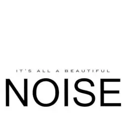 It's all a Beautiful Noise by Toni Childs