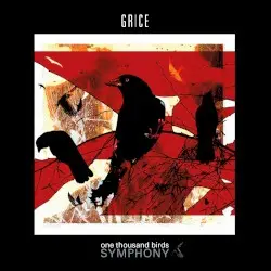 one thousand birds symphony by GRICE