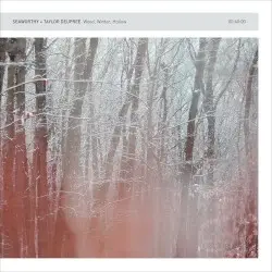 Wood, Winter, Hollow by Seaworthy + Taylor Deupree