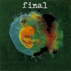 The First Millionth of a Second by Final