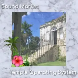 Temple Operating System by Sound Market