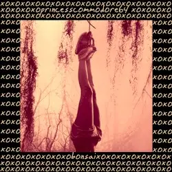 XOXO....II....BONSAI by Princess Commodore 64