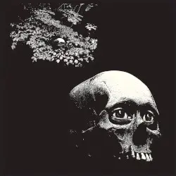 A Foul Form by Osees
