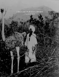 Valediction by I Am a Lake of Burning Orchids